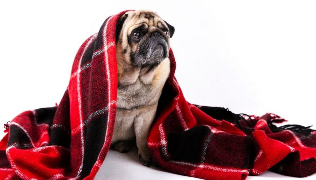 Untitled design (3) Untitled design (3)