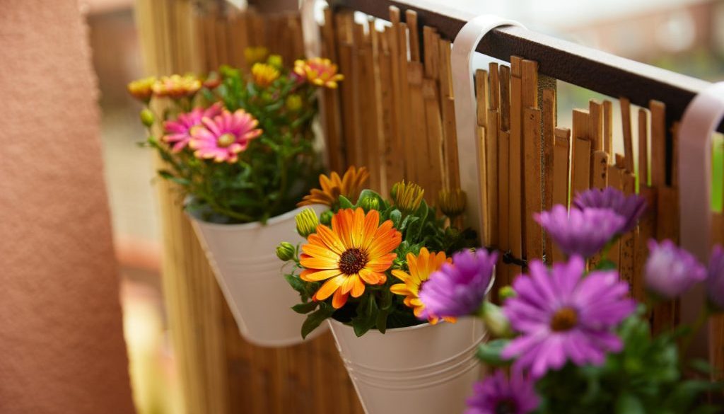 Objava 85 (1) Objava 85 (1)