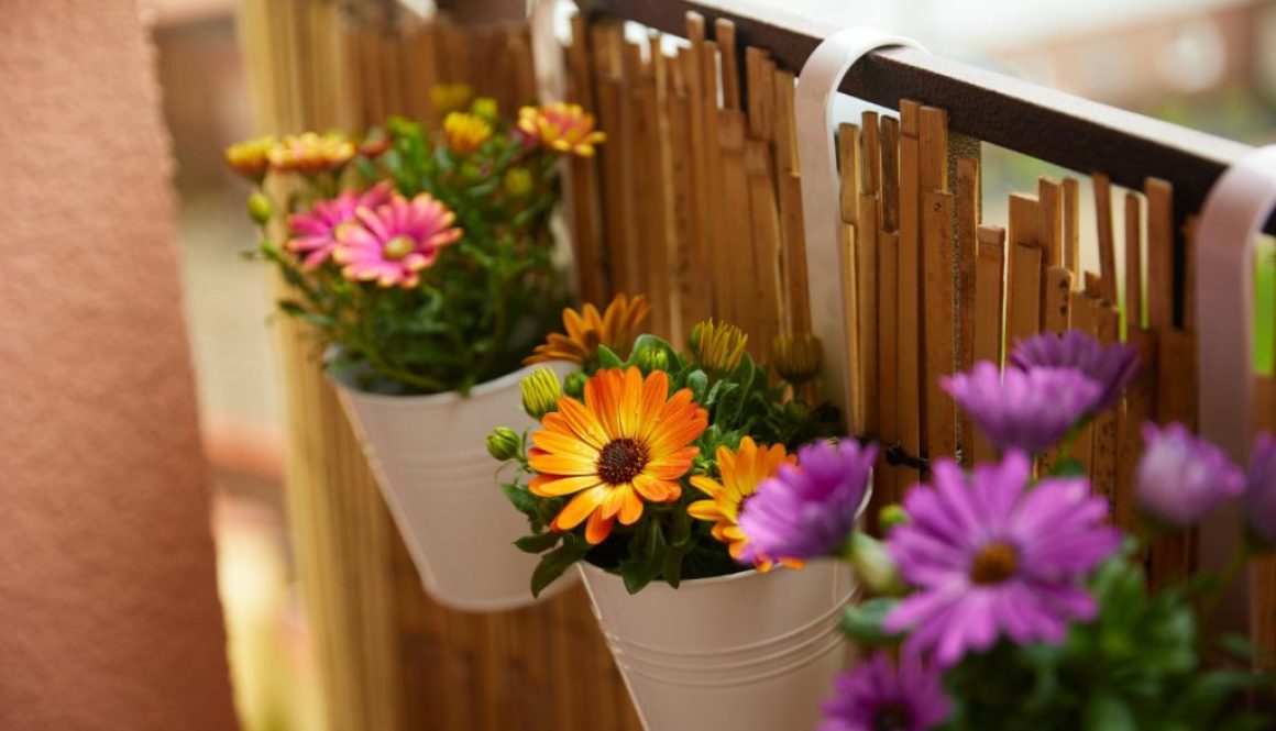 Objava 85 (1) Objava 85 (1)