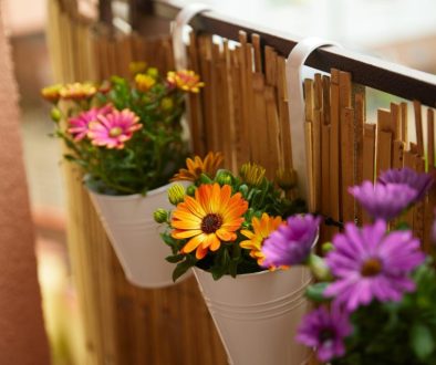 Objava 85 (1) Objava 85 (1)