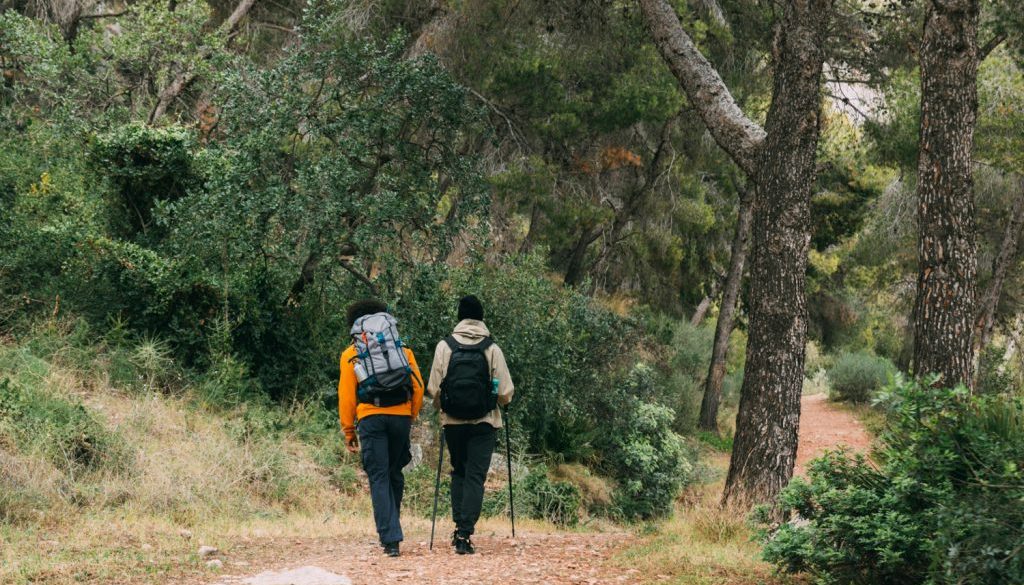 Objava 100 Objava 100