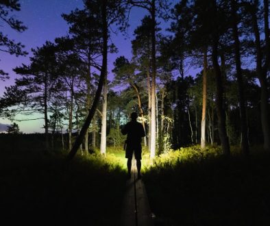 Objava 101 Objava 101