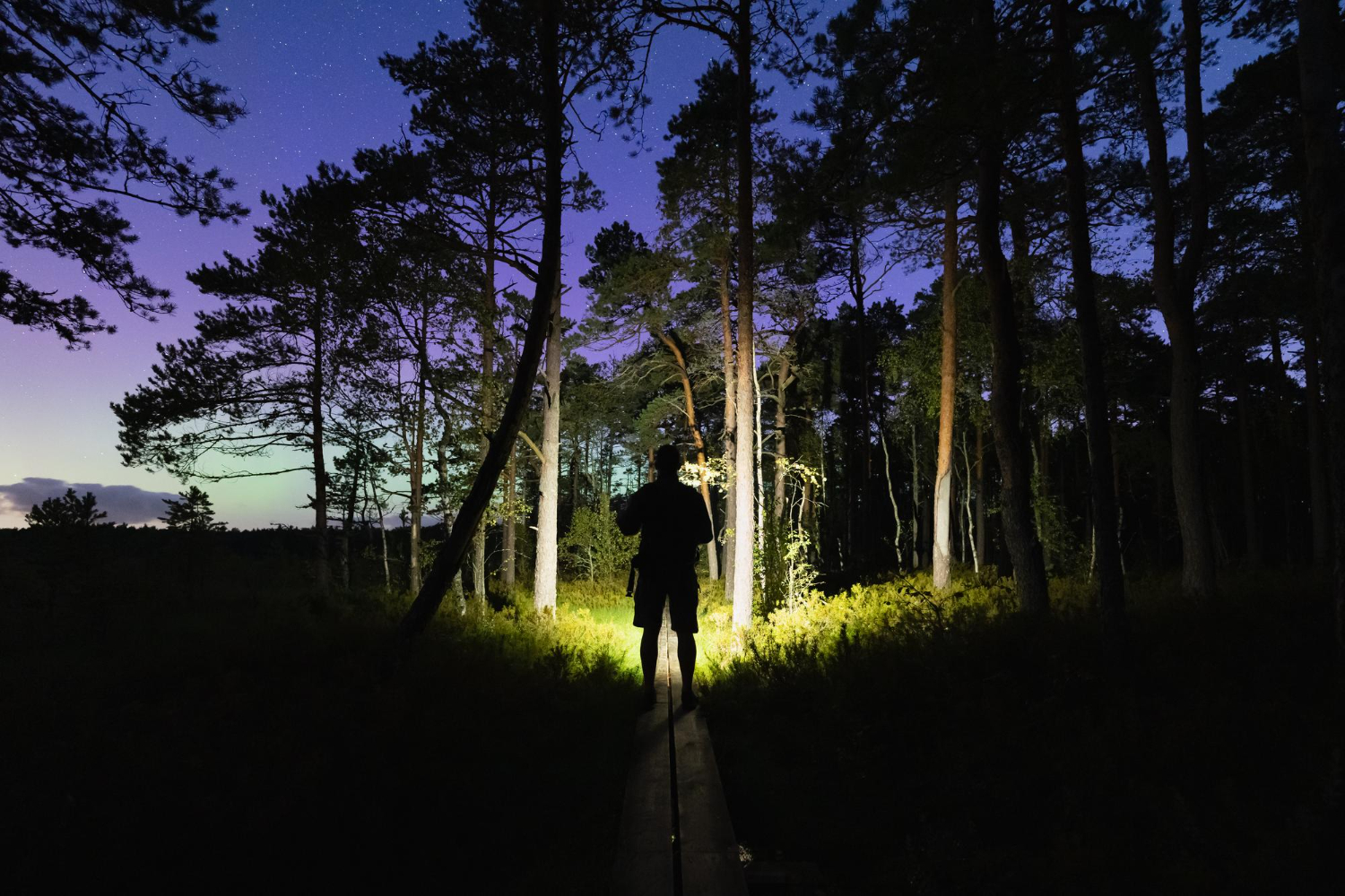 Objava 101 Objava 101